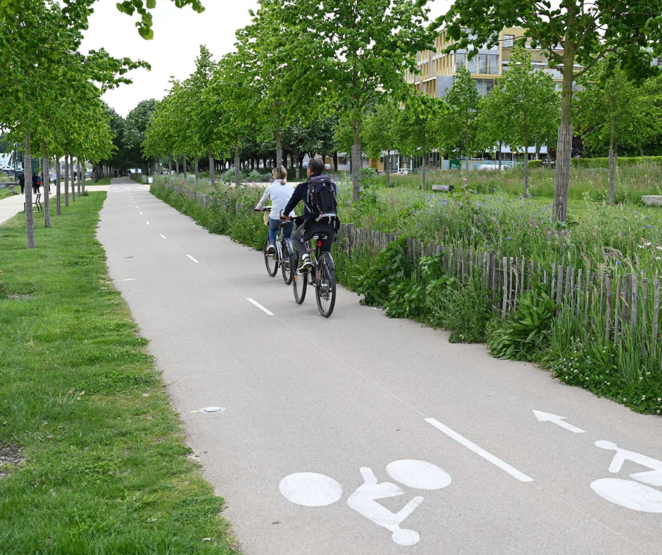 vélo sur piste cyclable