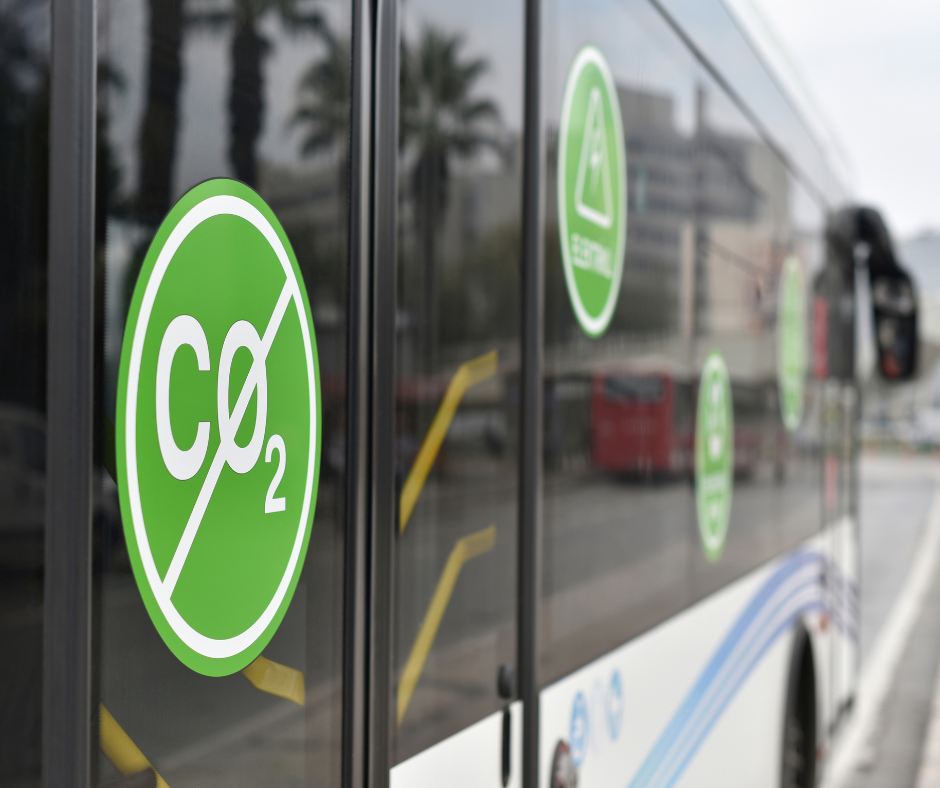 bus