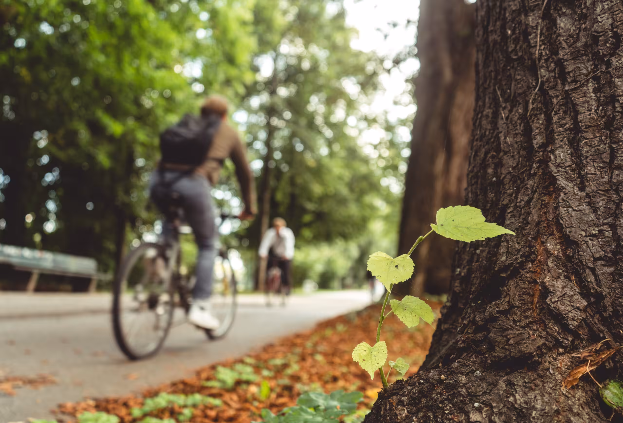 RSE | Vélo